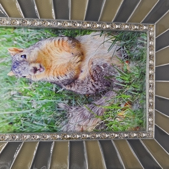 Embellished Sunburst Framed 4x6 Happy Cute Squirrel Photography Print - Picture 7 of 9